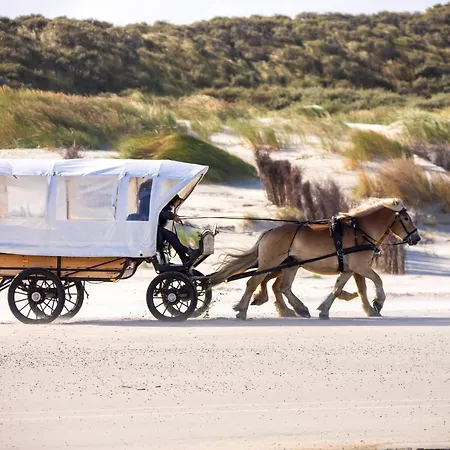 Alte Schmiede - Whg 4 *